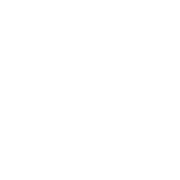 カスタムウェア開発